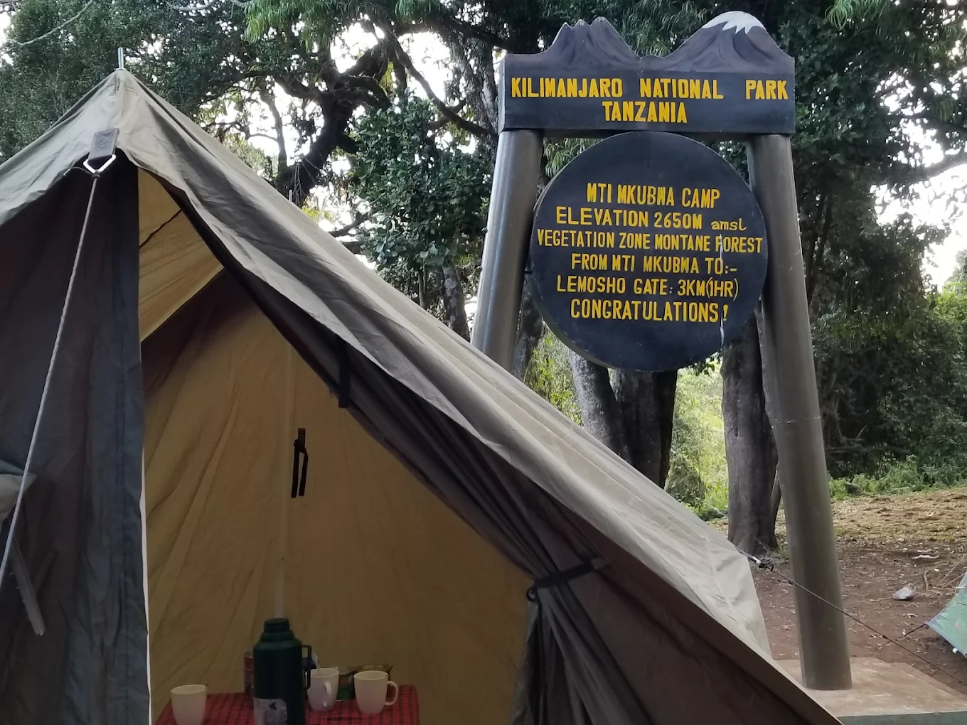 Mti Mkubwa Camp - Gallery Image 1