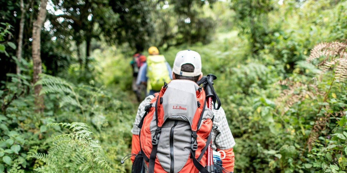 Big Tree Camp - Gallery Image 1