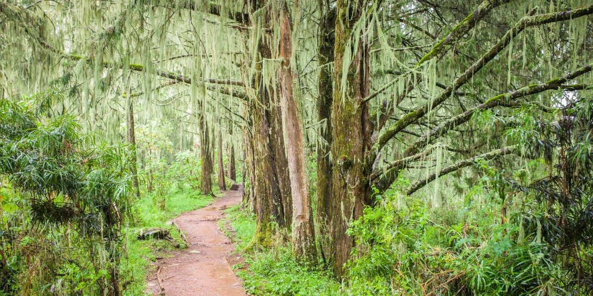 Shira 1 Camp - Gallery Image 1