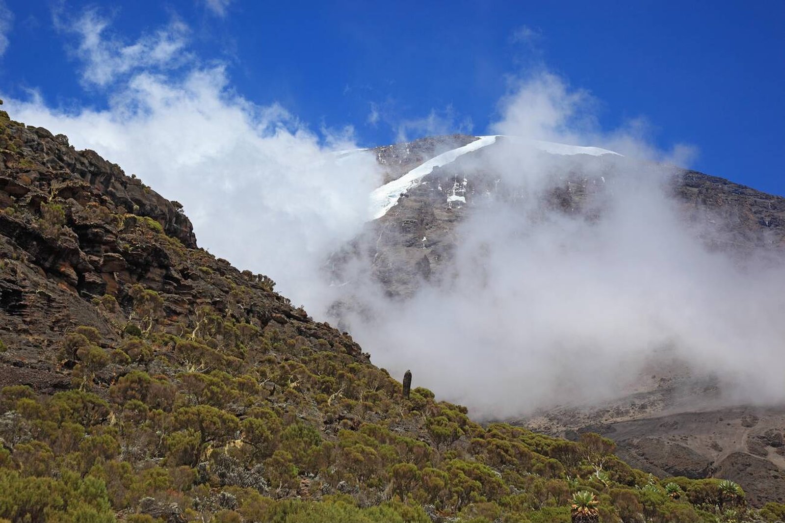 Barranco Camp - Gallery Image 2