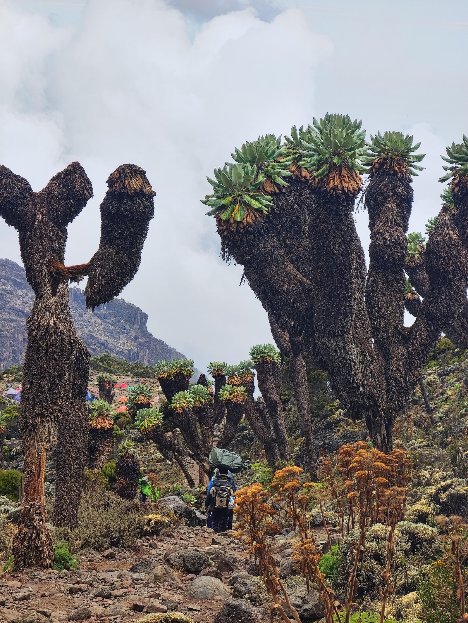 Barranco Camp - Gallery Image 3