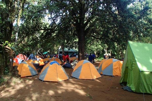 Mti Mkubwa Camp - Gallery Image 2