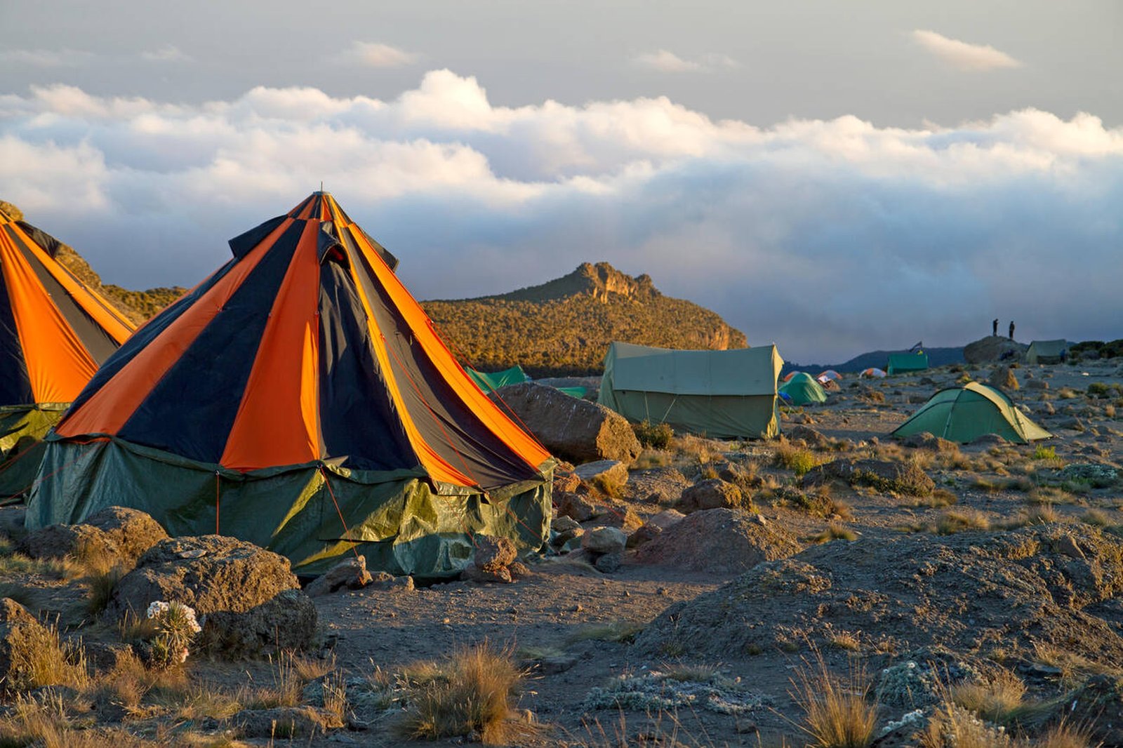 Karanga Camp - Gallery Image 2