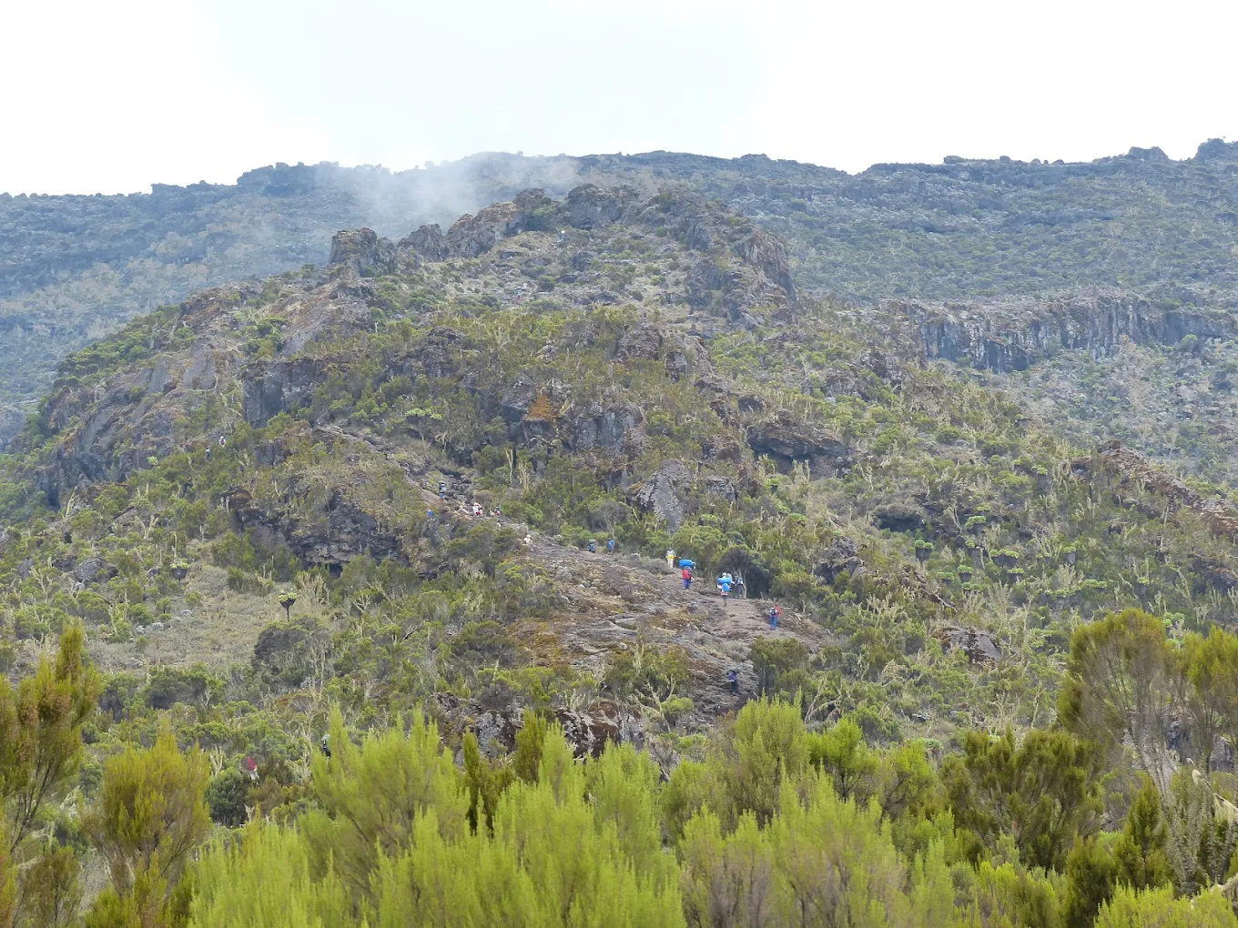 Machame Camp - Gallery Image 2