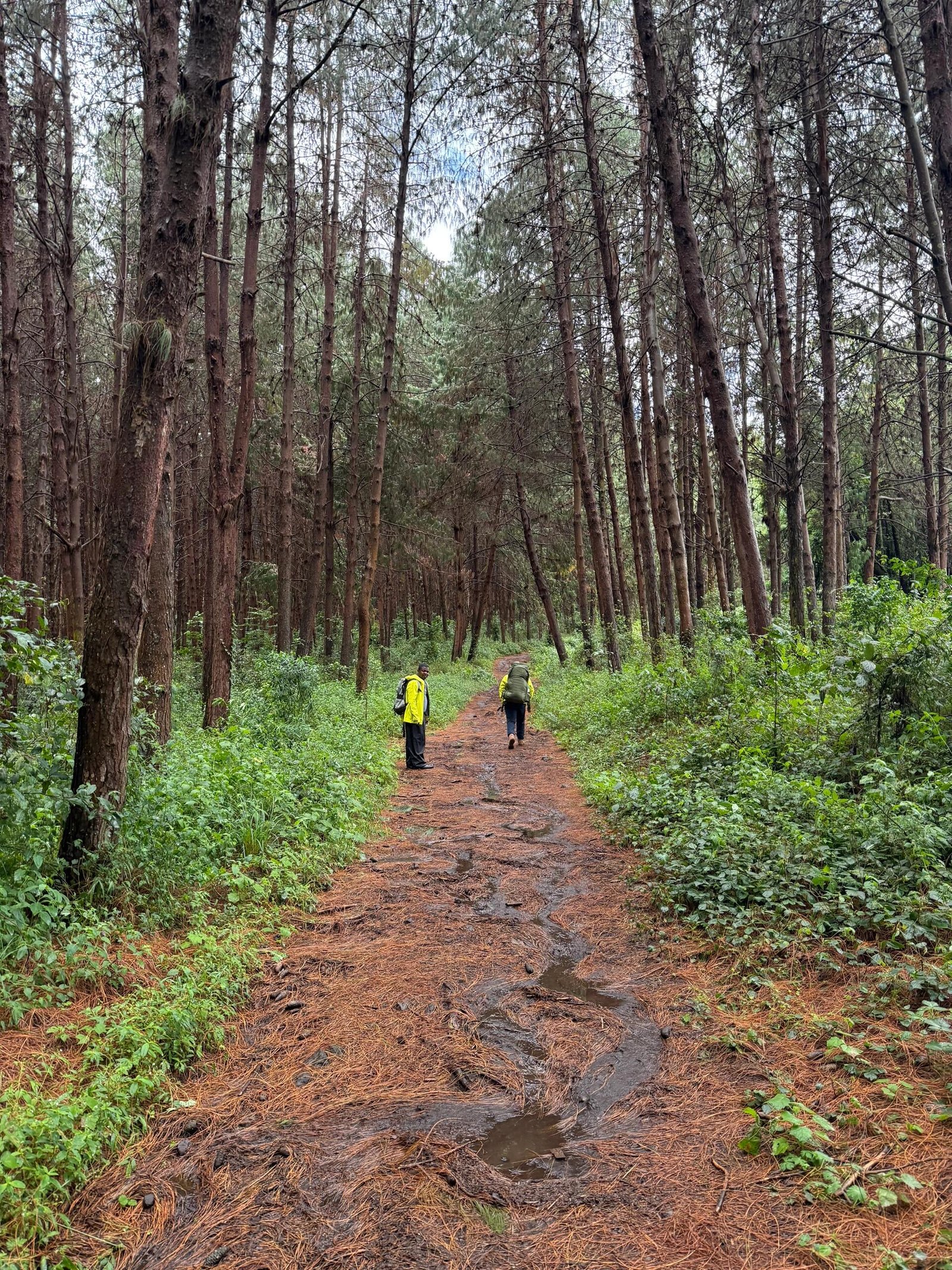 Simba Camp - Gallery Image 2