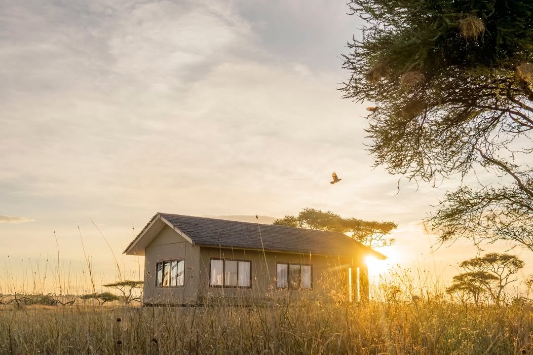Sametu Camp Serengeti - Gallery Image 2