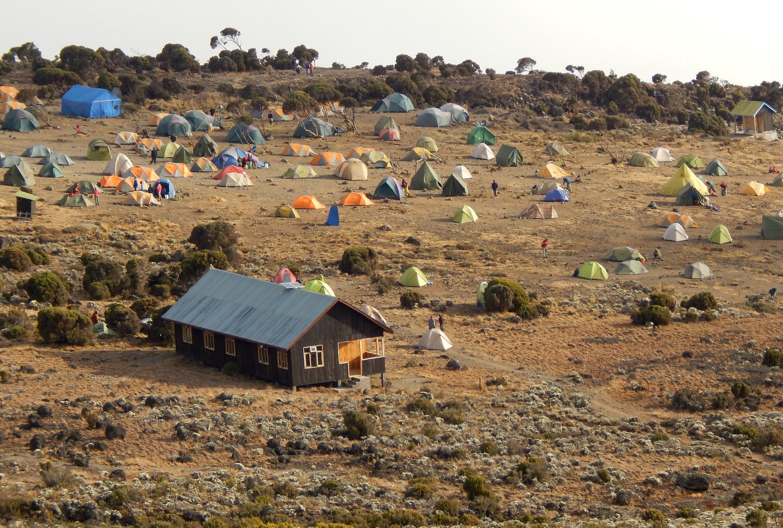 Shira 1 Camp - Gallery Image 2