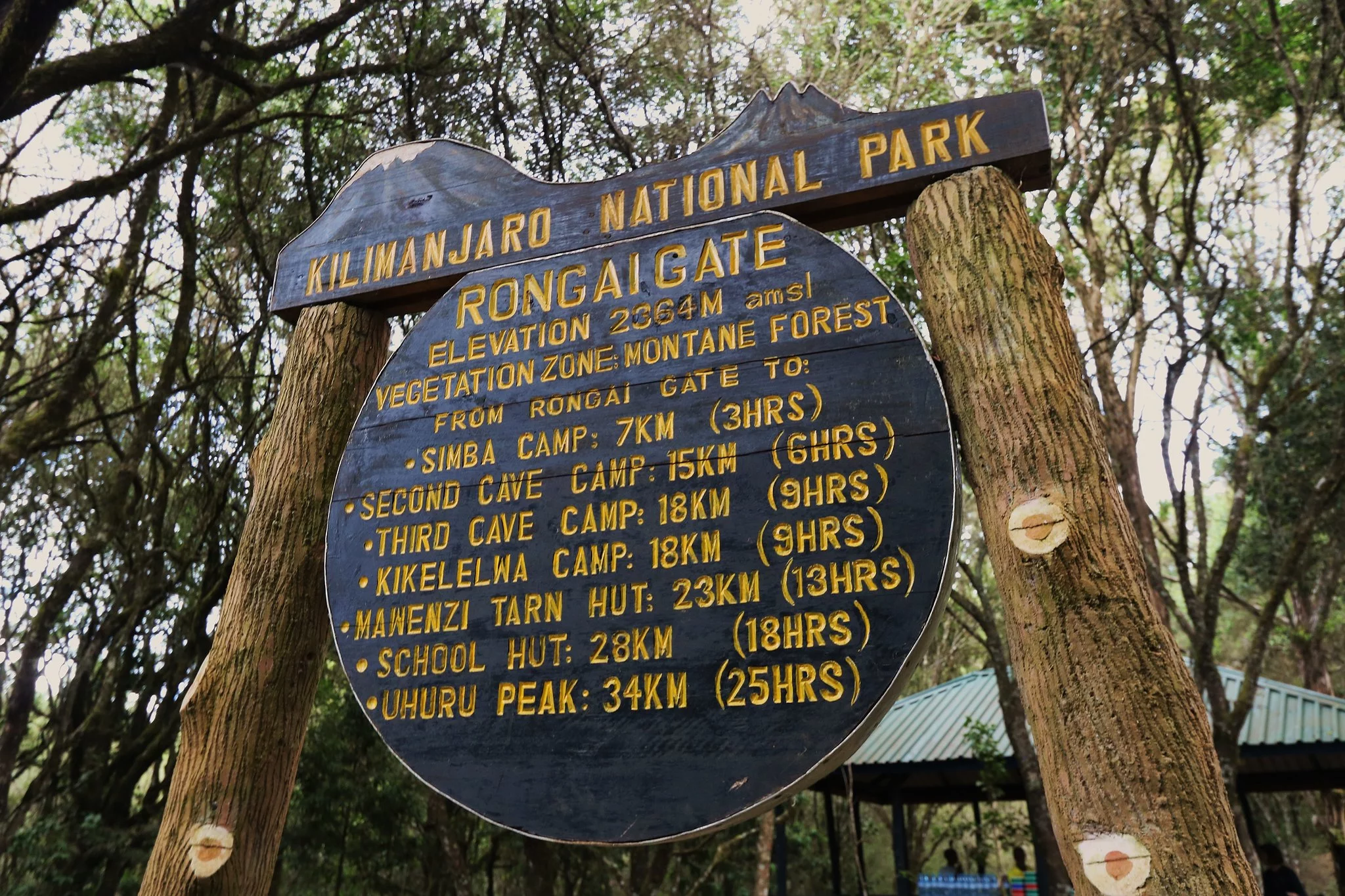 Simba Camp - Gallery Image 3