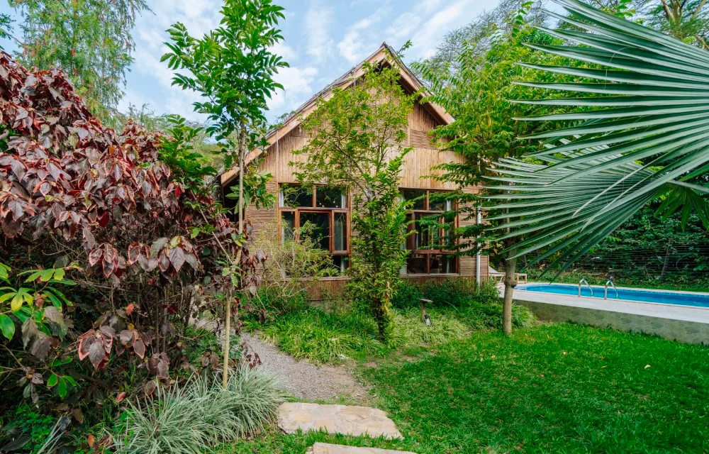 Under the Shade - Gallery Image 4