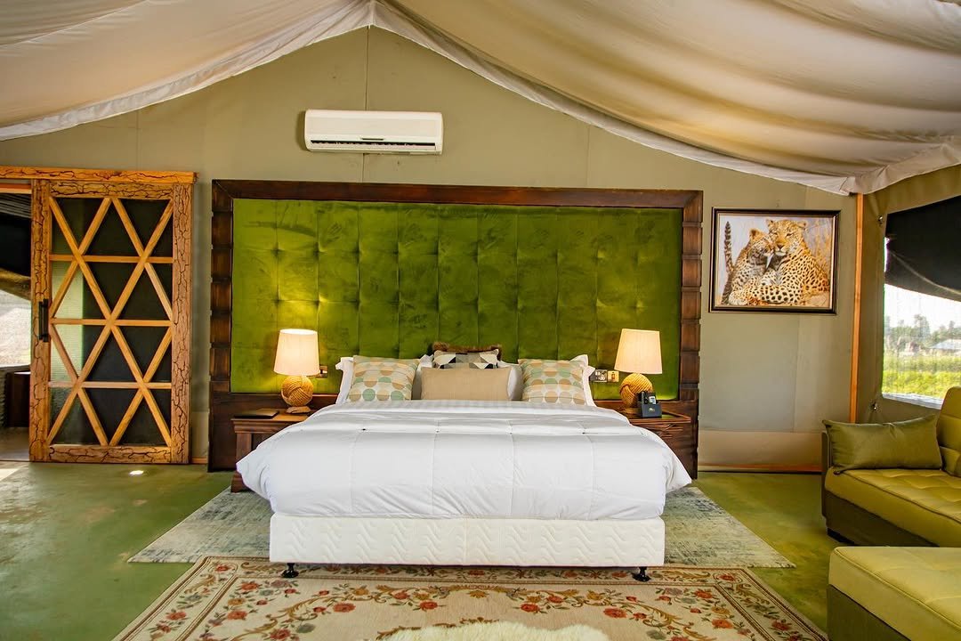 Kilimanjaro mountain camp (tented) – lodge accommodation in Kilimanjaro National Park, Tanzania