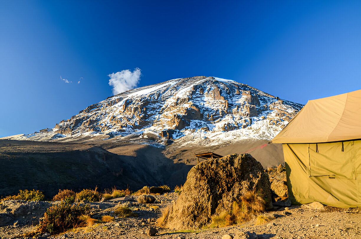 How Hard Is It to Climb Kilimanjaro 2026? Honest Guide – Tanzania Safari Blog
