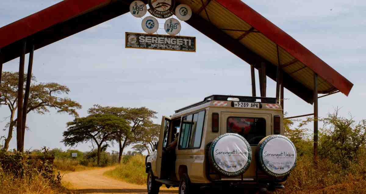 Game Drives (Morning, Afternoon, and Full-Day)
