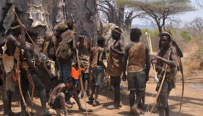 Cultural Tours