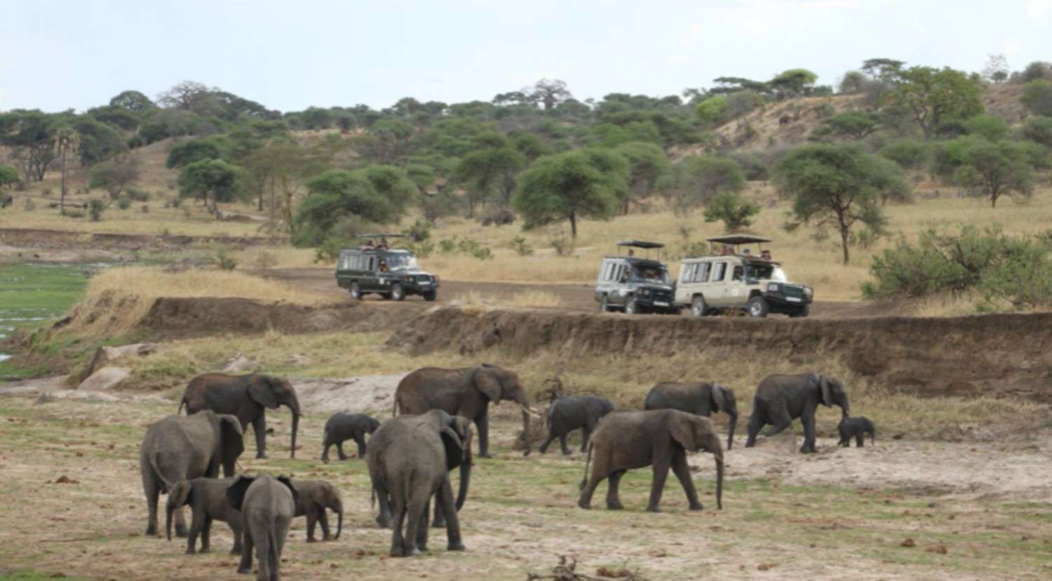 Day game drive