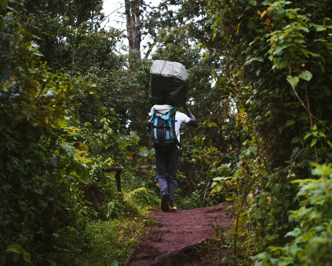 Kilimanjaro National Park
