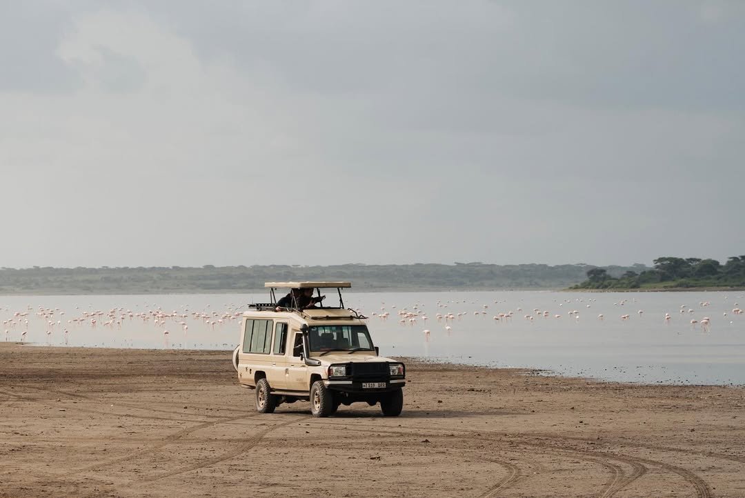 Ndutu & Southern Serengeti