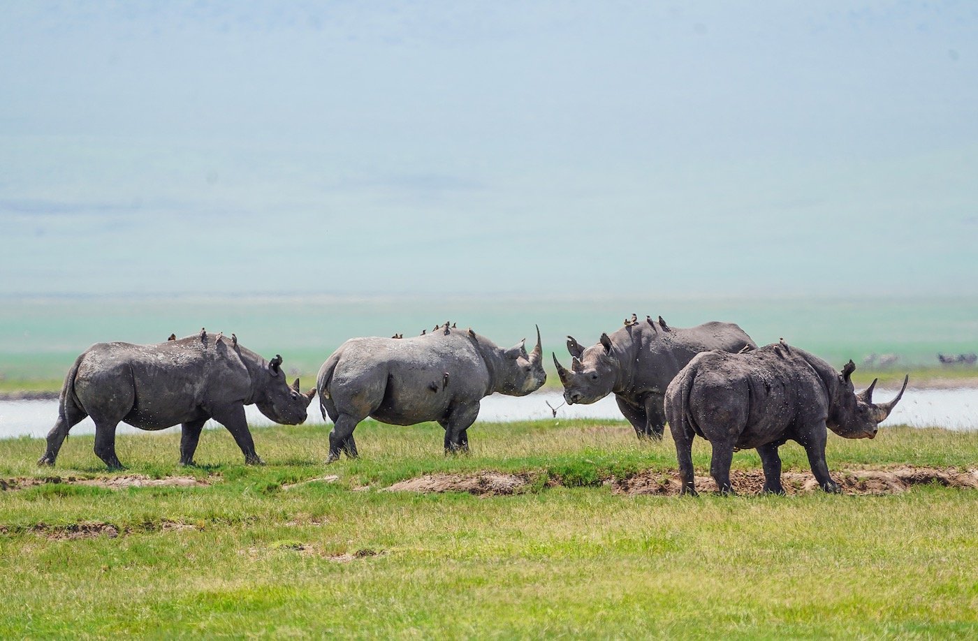 Ngorongoro Conservation Area