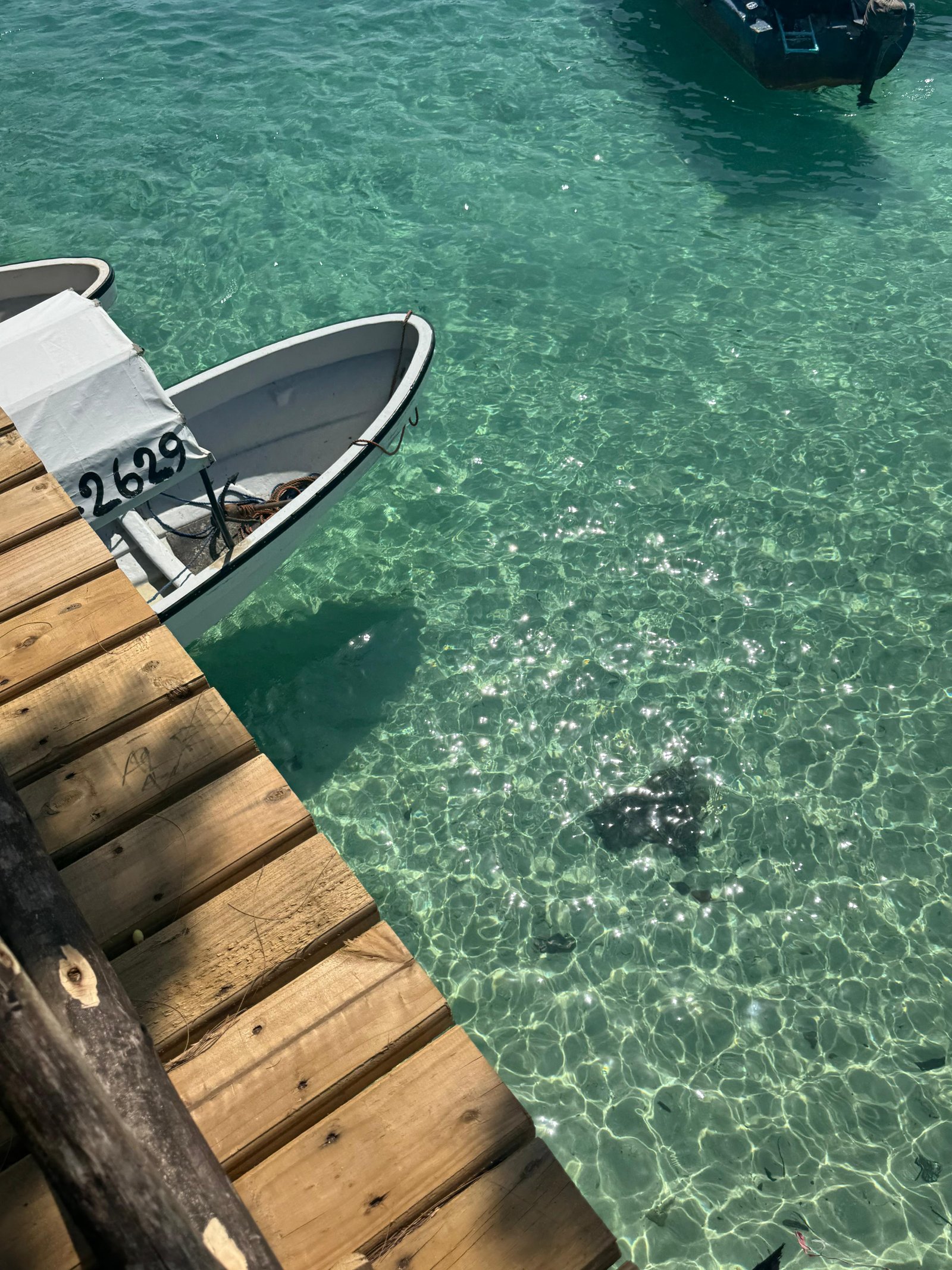 Beach Vibes, soft sands, and the endless blue of the Indian Ocean, welcome to Zanzibar! 🌴✨ Whether you’re looking to relax on the beach, explore the rich culture of Stone Town, or dive into thrilling water adventures, Zanzibar has it all. Let Serengeti Nexus take you on a journey to paradise!

📍 Zanzibar, Tanzania
🏝️ Your dream island escape starts here!

#ZanzibarGetaway #TropicalParadise #SerengetiNexus #BeachVibes