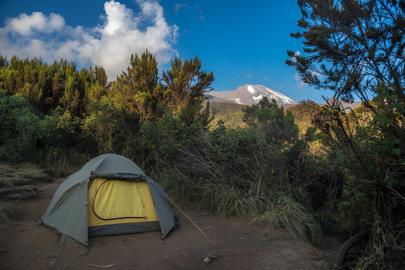Climbing Kilimanjaro via Machame Route - Image 3
