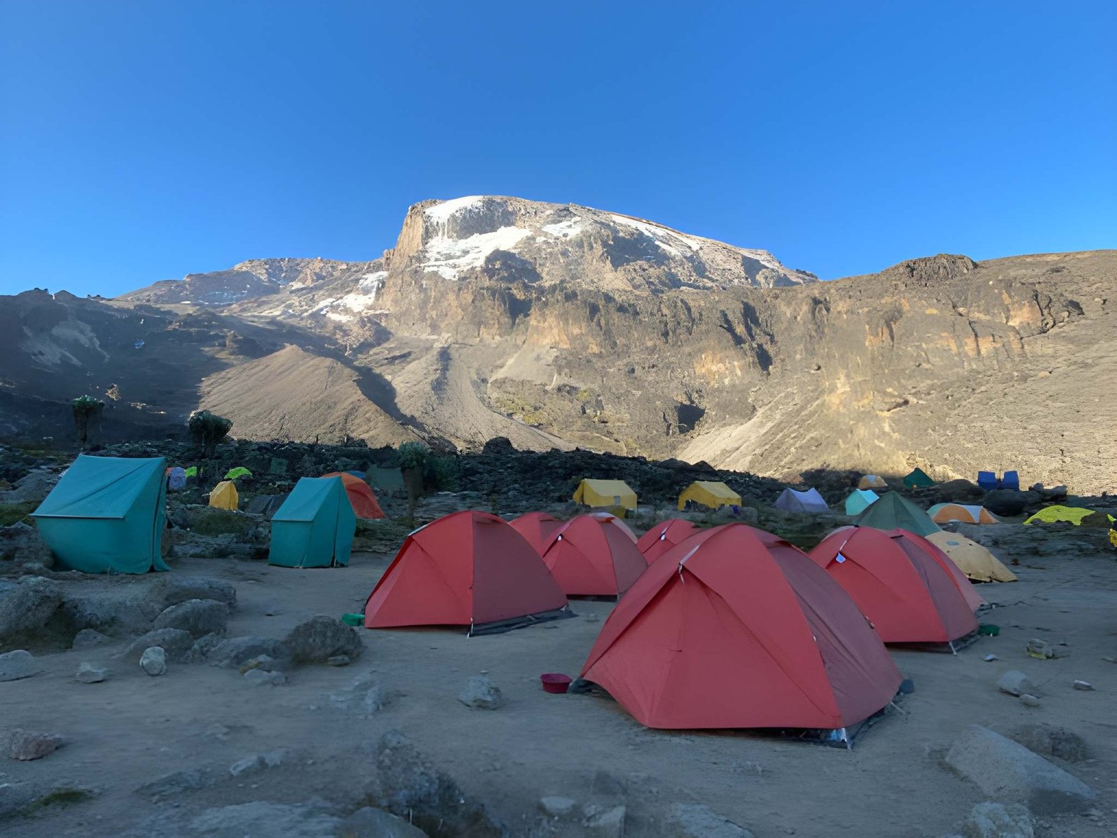 Climbing Kilimanjaro via Lemosho Route - Image 2