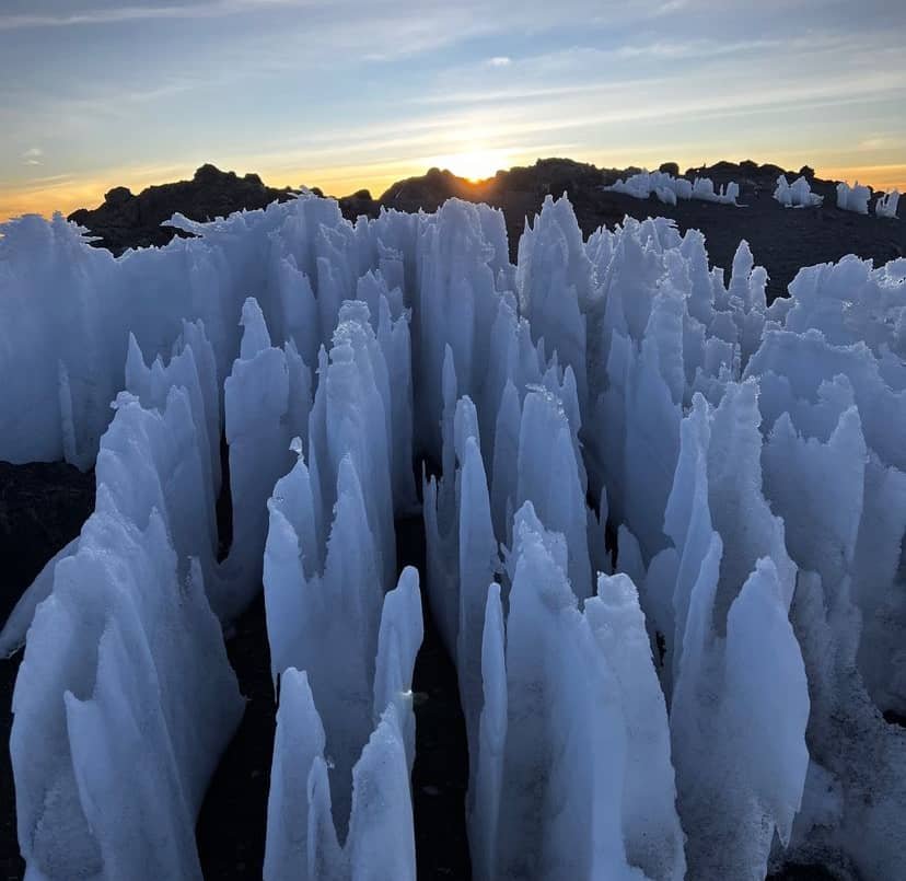 Climbing Kilimanjaro via Marangu Route - Image 6