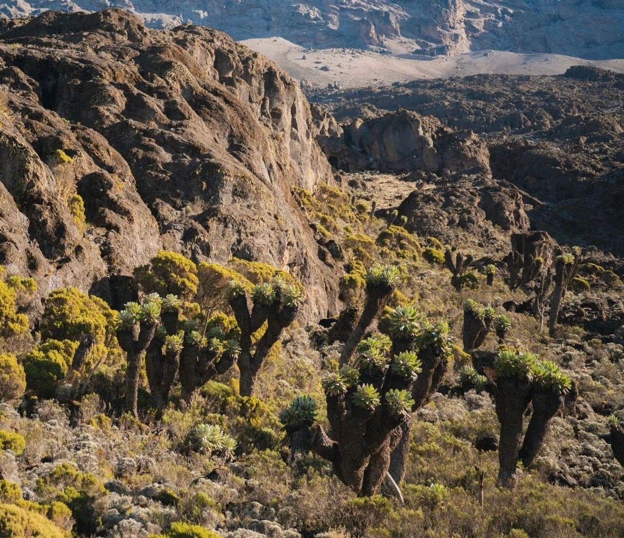 Machame Route - Image 2