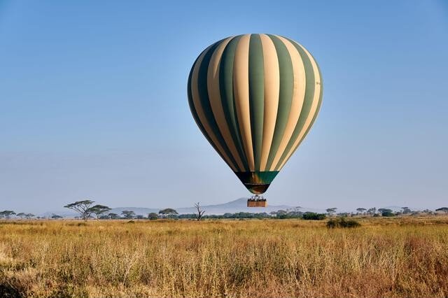Luxury Tarangire Safari with Bush Walk & Balloon Ride - Image 4