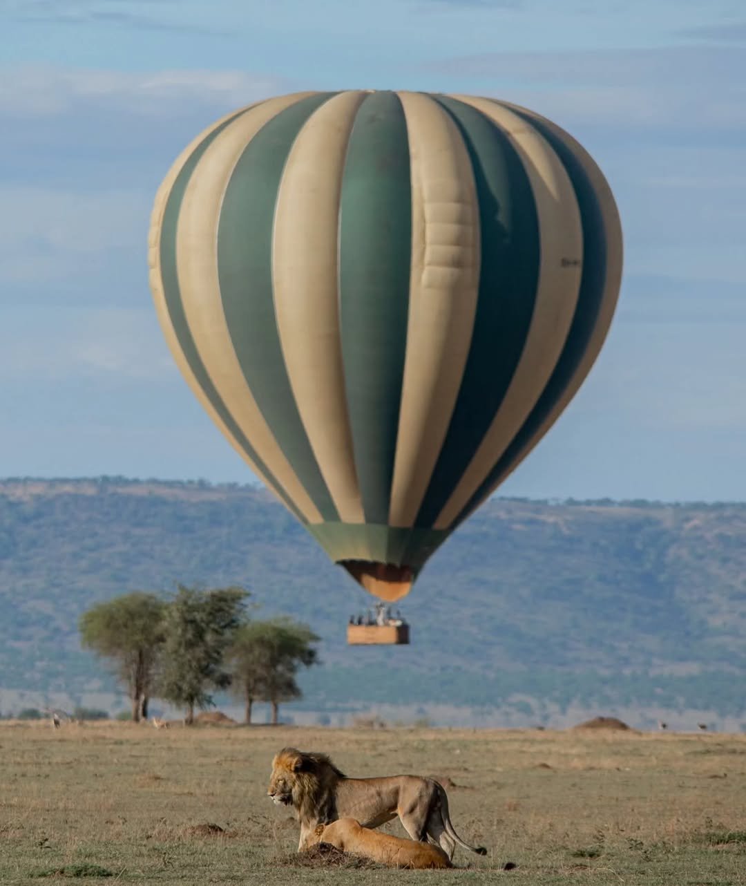 Big Cats & Serengeti Balloon Safari: 4 Days in Tanzania's Top Parks