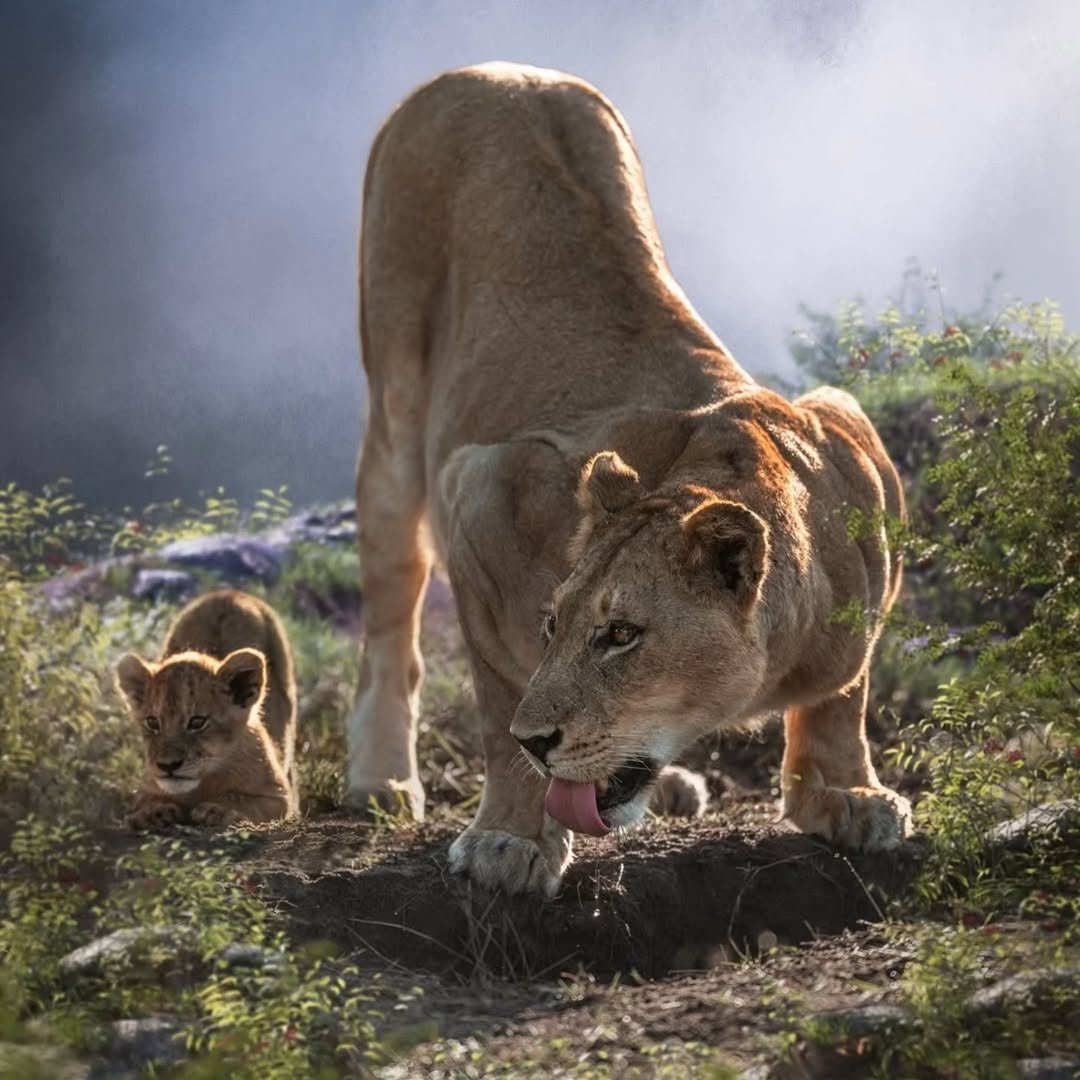 Safari Tour 'Grants': 7-Day Tarangire, Lake Natron & Ngorongoro Crater - Image 2