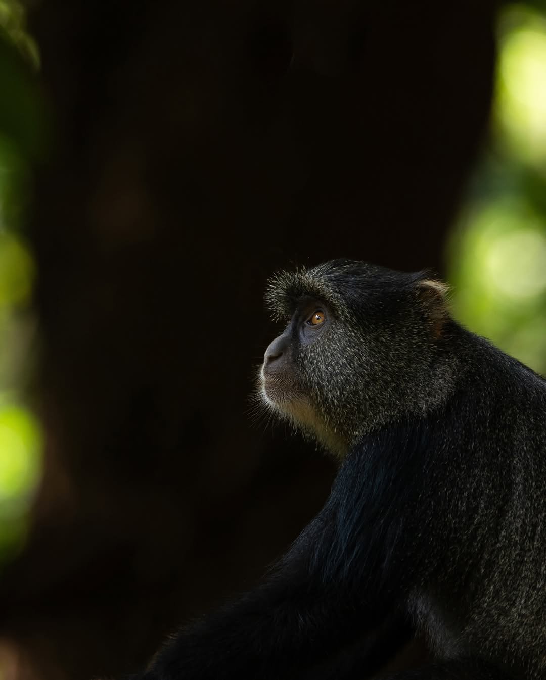 Safari Tour 'Duiker': 2-Day Lake Manyara & Ngorongoro Crater