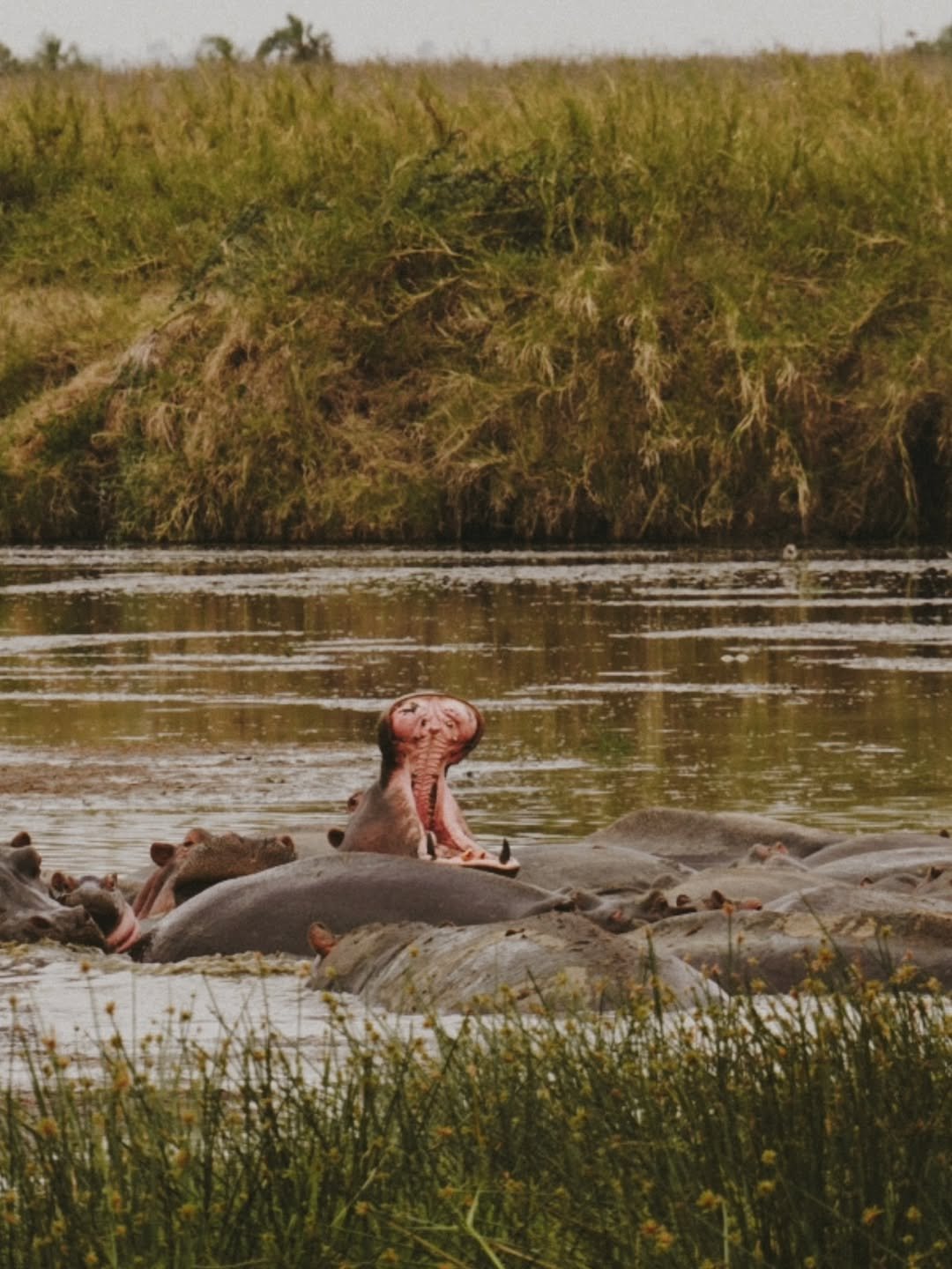 Safari Tour 'Eland': 7-Day Complete Northern Tanzania Safari - Image 3