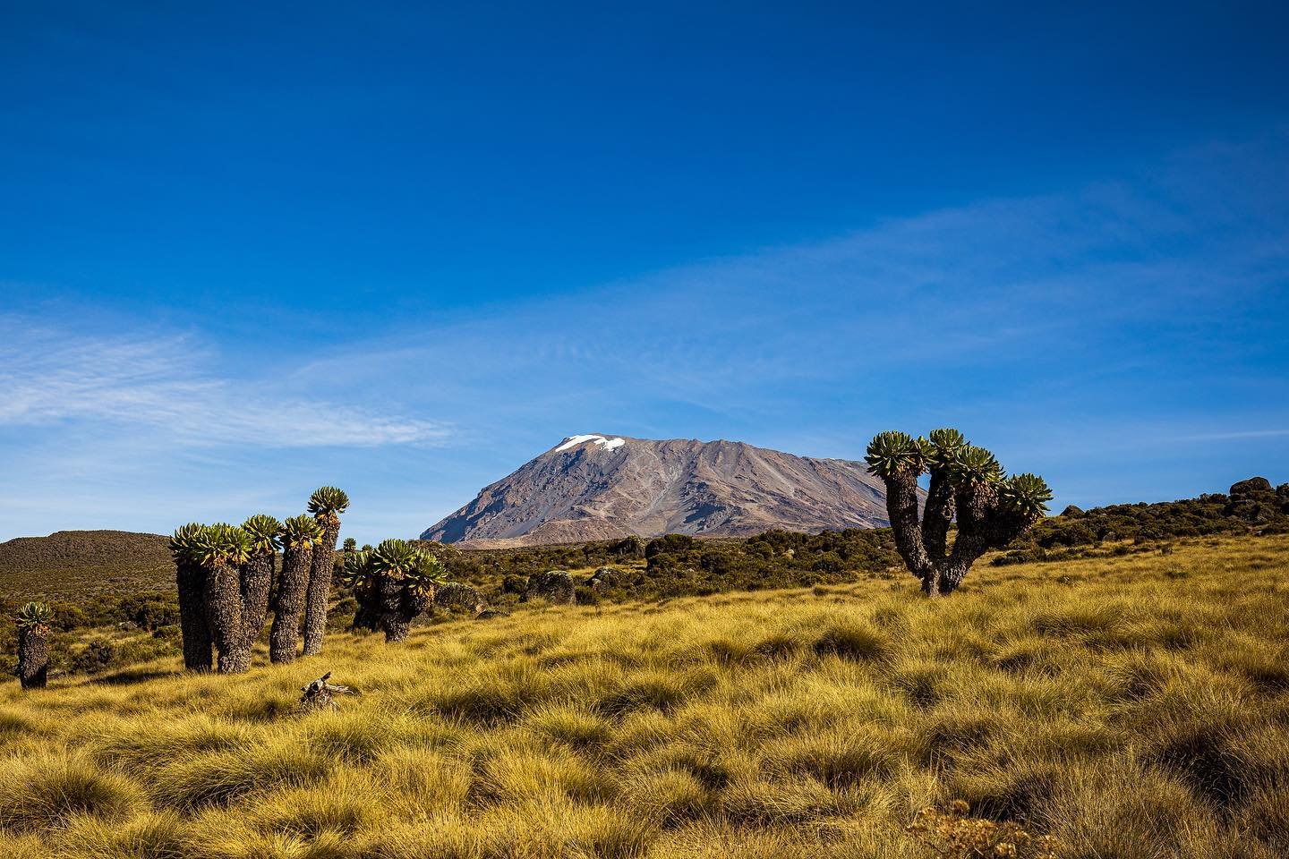 Marangu Route