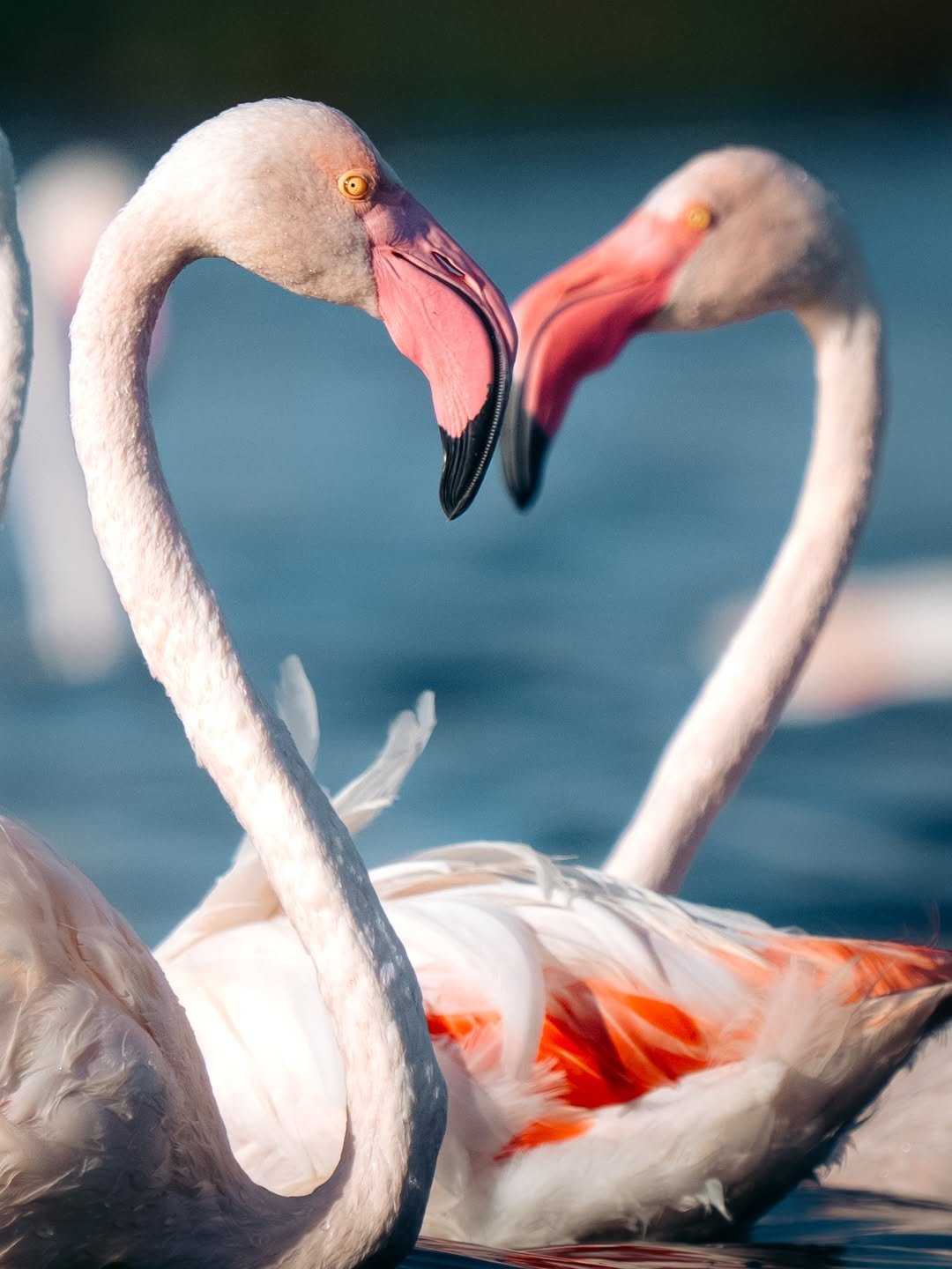 Luxury Safari: Ngorongoro, Lake Natron & Serengeti Migration in 7 Days — photo 2